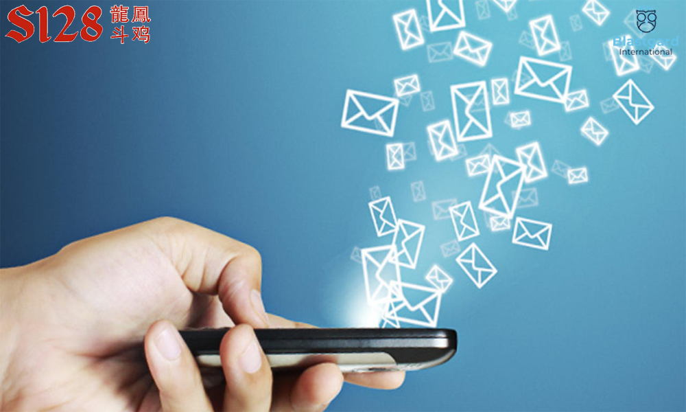 Sử dụng Email 