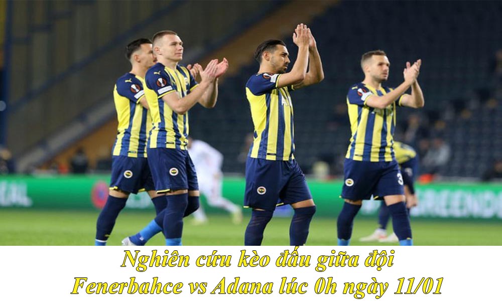 Nghiên cứu kèo đấu giữa đội Fenerbahce vs Adana